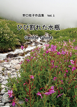 野口桂子作品集Vol.1「ひび割れた水瓶 Gentle Ghost」